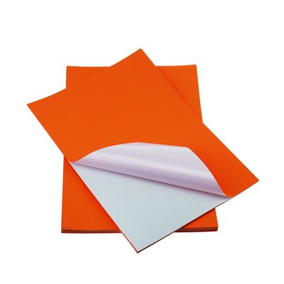 Papier adhésif d'autocollant de vinyle de taille de lettre de papier d'autocollant de pâte de bois de la prime 100% de la couleur A4 haut